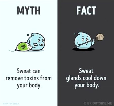 Did you Know