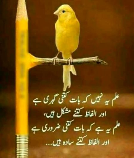 💕💕💕💖💖💕💕💕