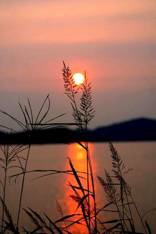 sun set photography😍
