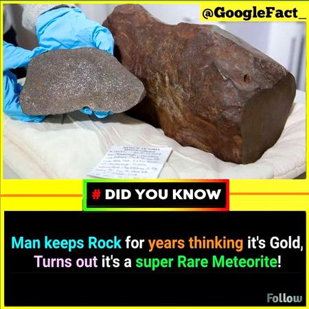 Did you Know