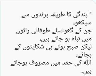 Right 🌸✍🌸