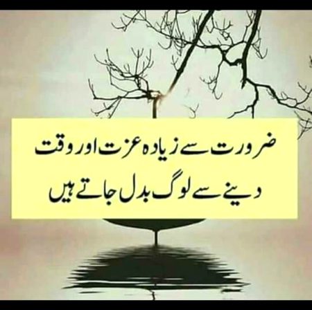 🍁Zoq_Shab🍁