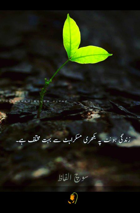 Zara ghoor ki jye
