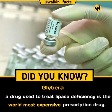 Did you Know