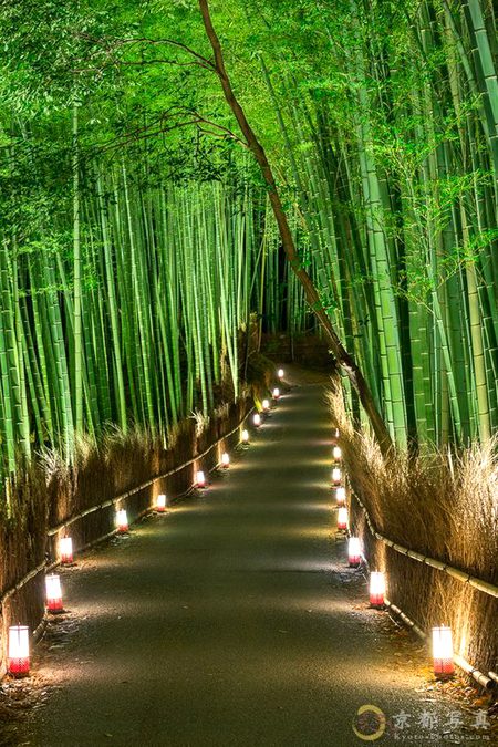 Amazing Place