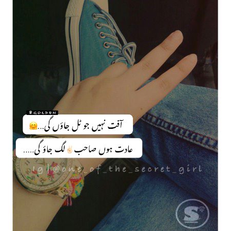 Attitude Quotes image