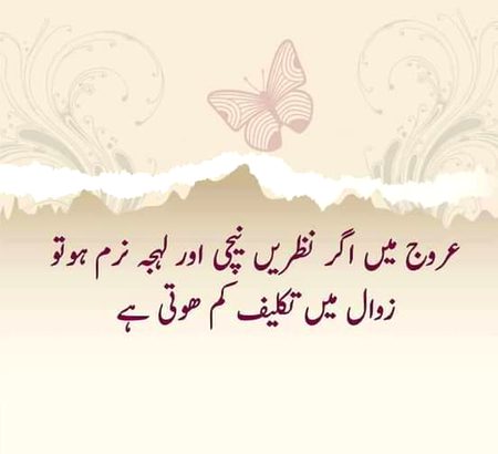 🍁Zoq_Shab🍁