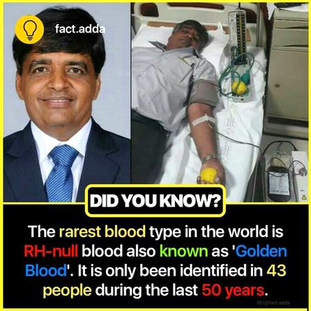 Did you Know