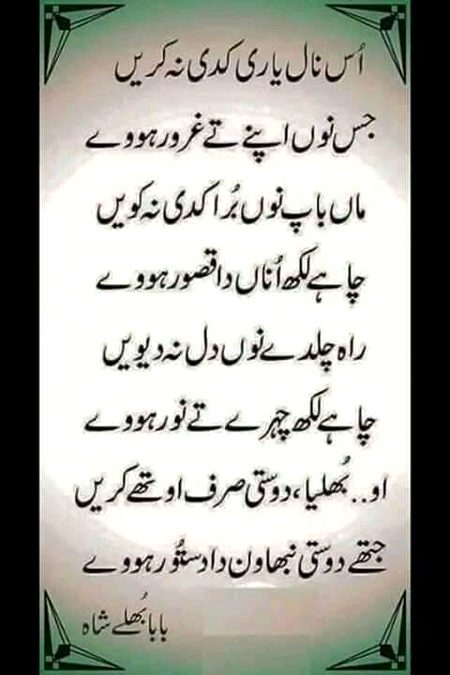 True lines 💯 Bulleh Shah the great philosopher and poet