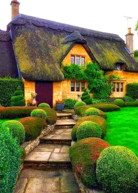 خواب نگر😍😍