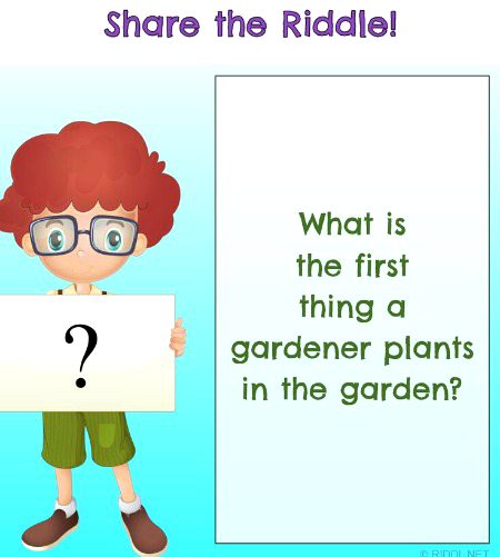 Riddles & Puzzles image