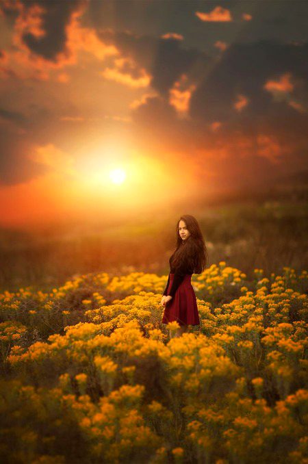 Beautiful Nature image