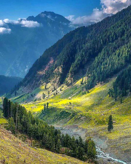 Beautiful Nature image