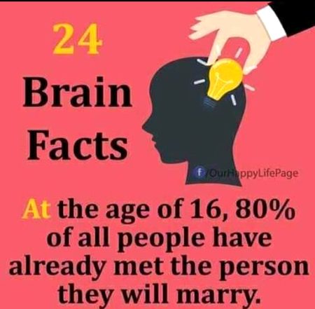 Did You Know