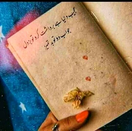 تلخ حقیقت۔۔۔🥀💔