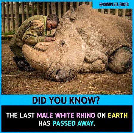 Did you Know