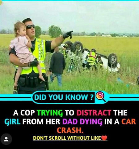 Did you Know