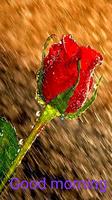 میرا اور اس کا کچھ ایسا قصہ ہے 😍
وہ میری زندگی کا بے حد خوبصورت حصہ ہے❤🔗
💕💕