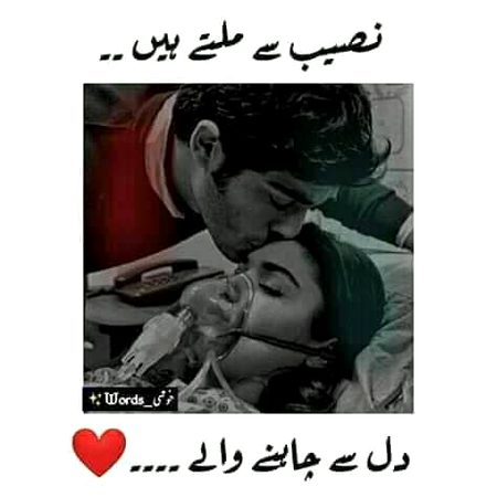 •||•💚💚💚💯•|•