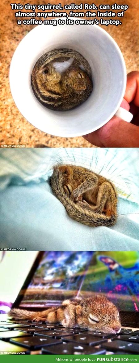 Awww cute one ...Amazing tooo