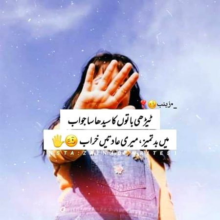 •||•^°°°^•||•