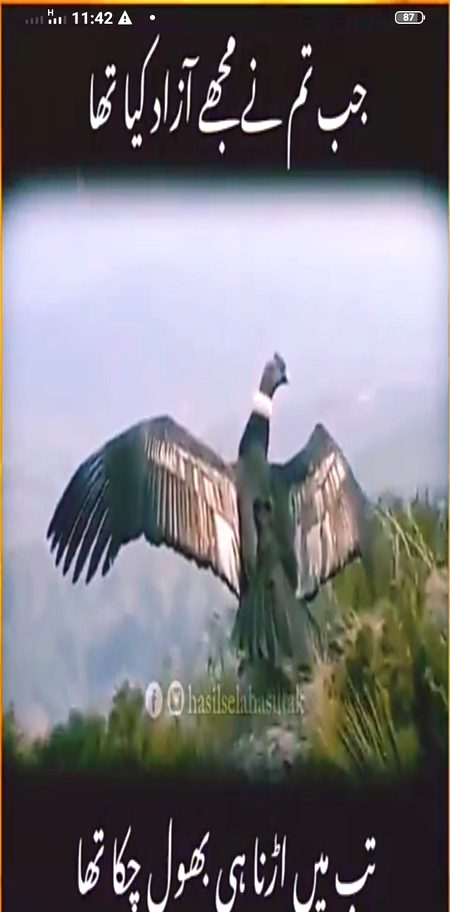 Zindagi ki  talaash mein .