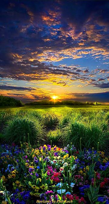 Nice view of nature...