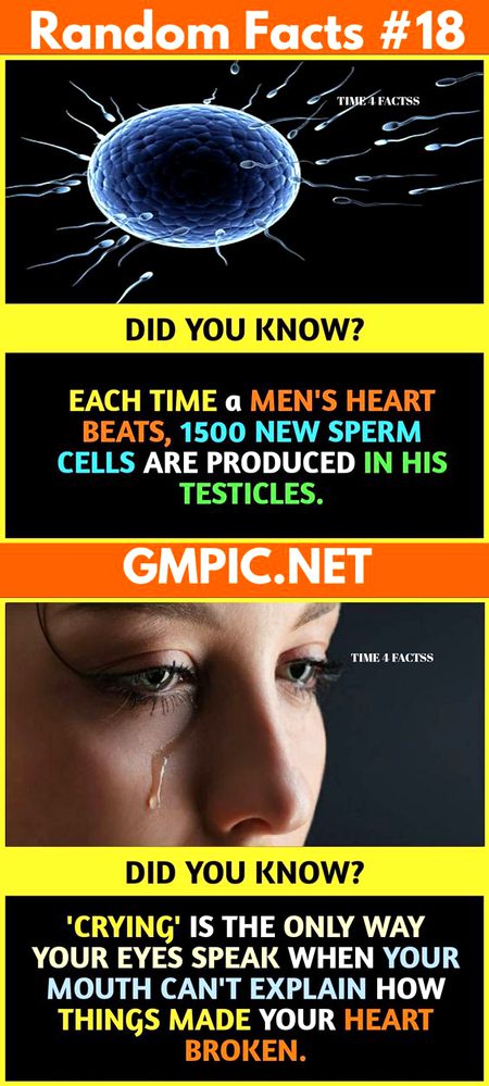 Did you Know
