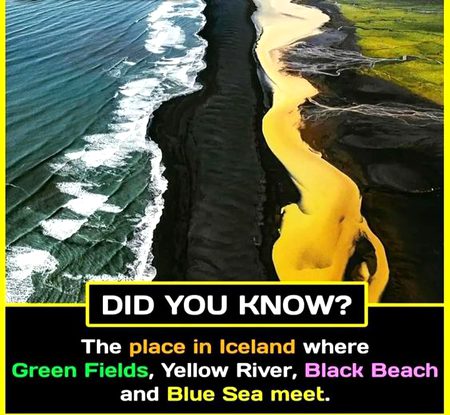 Did you Know