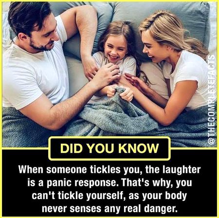 Did you Know