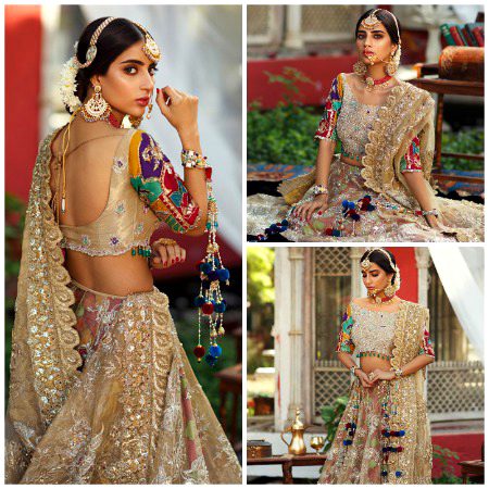 Pakistani Celebs image