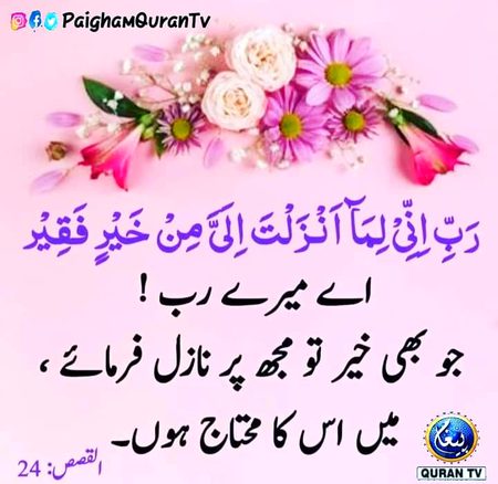 Islamic Quotes image