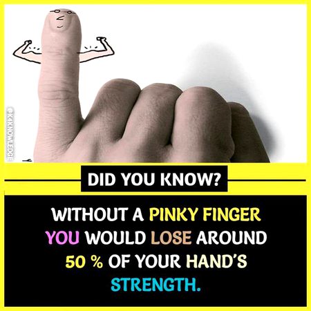 Did you Know