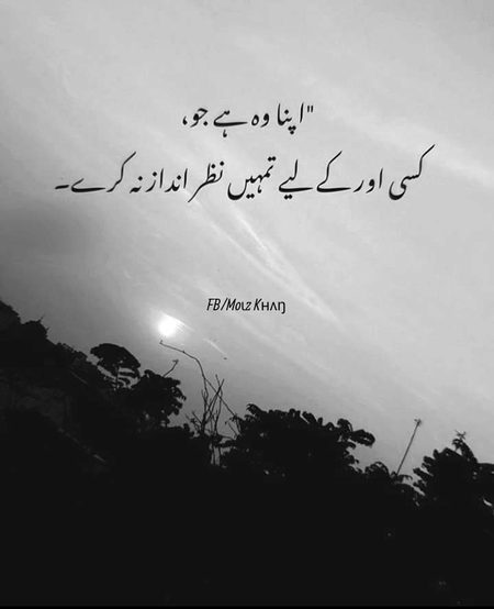 Bilkul🌺💯🌺💯