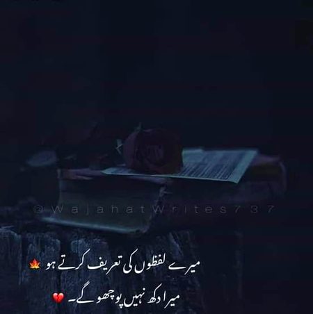 🍁Zoq_Shab🍁