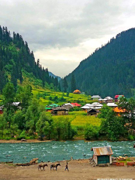 🍁🍁pakistan🍁🍁