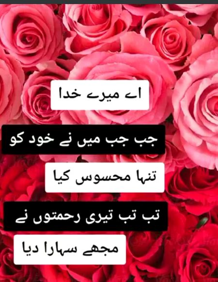 💕💕💕💖💖💕💕💕