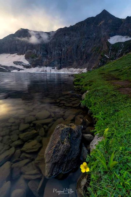 Beautiful Nature image