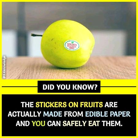 Did you Know