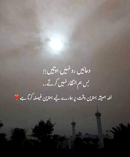 💕💕💕💕💖💖💕💕💕💕