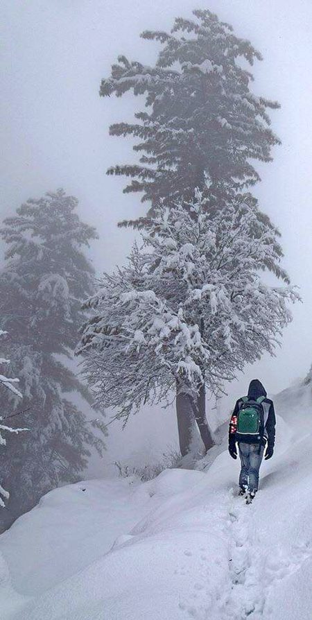 Beautiful Nature image