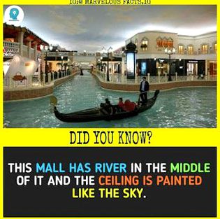 Did You Know