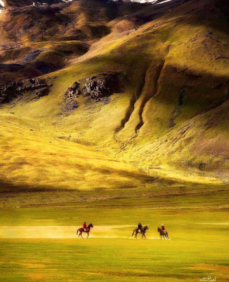 Beautiful Nature image