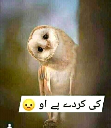 😊😊😊☺☺☺☺😀😀