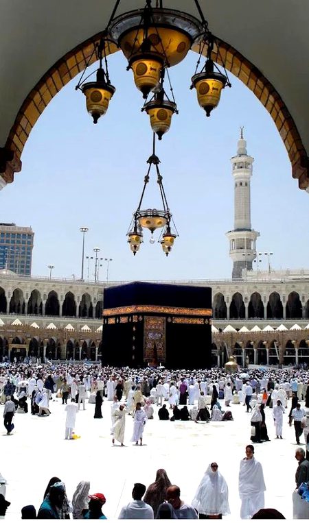 Beautiful Nature image