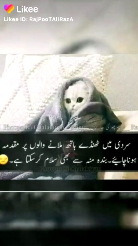 Hayee srdi