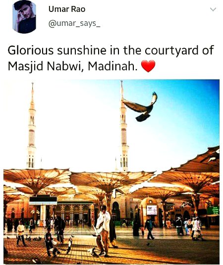 Beautifull pic😍😍😍