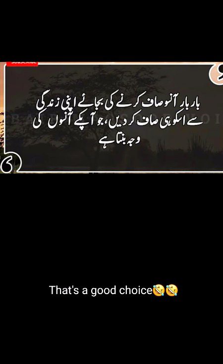 True 💯😜😋😛🧸