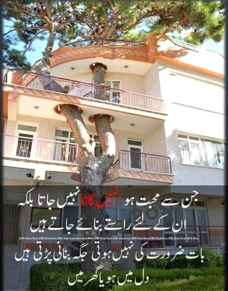 🌳💒ᕙ( ͡◉ ͜ ʖ ͡◉)ᕗ💒🌳