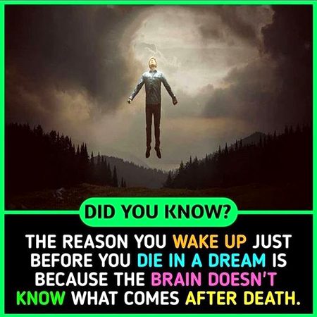 Did you Know